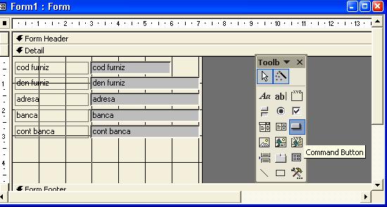 Database şi apoi se alege meniul Insert, opţiunea AutoForm. Pe ecran se afişează un formular tip coloană (Fig. 3.