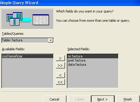 2. Simple Query Wizard - este cea mai simplă metodă de a crea o interogare. Pentru a crea o interogare în acest mod selectăm opţiunea Simple Query Wizard şi apoi selectăm butonul OK.