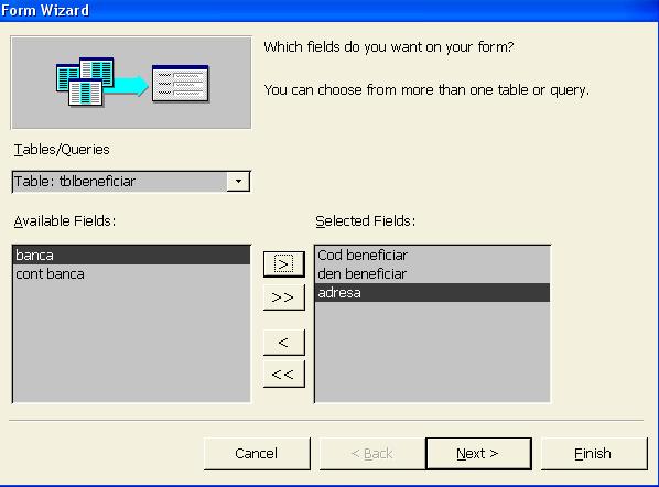 În fereastra următoare se alege stilul de vizualizare, iar la selectarea butonului Next se ajunge în ultima fereastră unde se salvează formularul sub ce nume se doreşte.