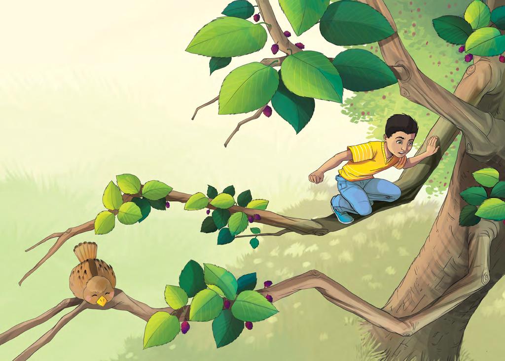 Perched high on a swaying branch, in a massive mulberry tree, a boy was just about to jump down when a friendly voice
