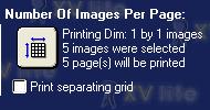 c. To the right, the Number of Images Per Page section indicates the way the images will be printed on a grid and the total number of pages. d.