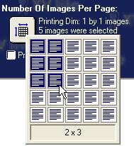 Select Print Image off the menu bar to print the images to the select printer. Document Templates Overview The imaging application provides a library of document templates (e.g. referral letters, treatment plans, clinical reports, image cards, etc.
