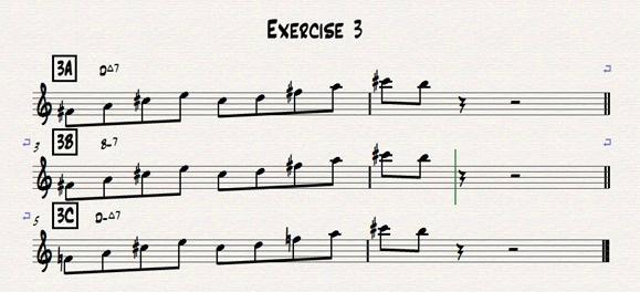 Exercise 3 The third exercise is based on the phrase Phil plays on the D major chord. 3A is the original lick in D major. The exact same notes can be played on a B minor7 chord as shown in 3B.