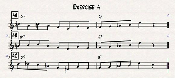 Exercise 5 The fifth exercise has many parts and is based on the second measure of Exercise 4. To my ear, the line on the dominant chord has a diminished quality to it.
