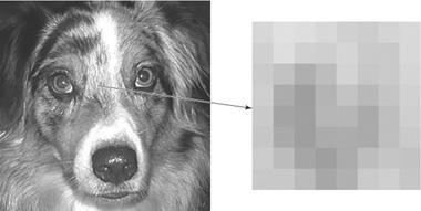 JPEG Compression step2 Grayscale Values for 8 8 Pixel Area 222 231 229 224 216 213 220 224 216 229 217 215 221 210 209 223 211 202 283 198 218 207 209 221 214 180 164 188 203 193 205 217 209 171 166