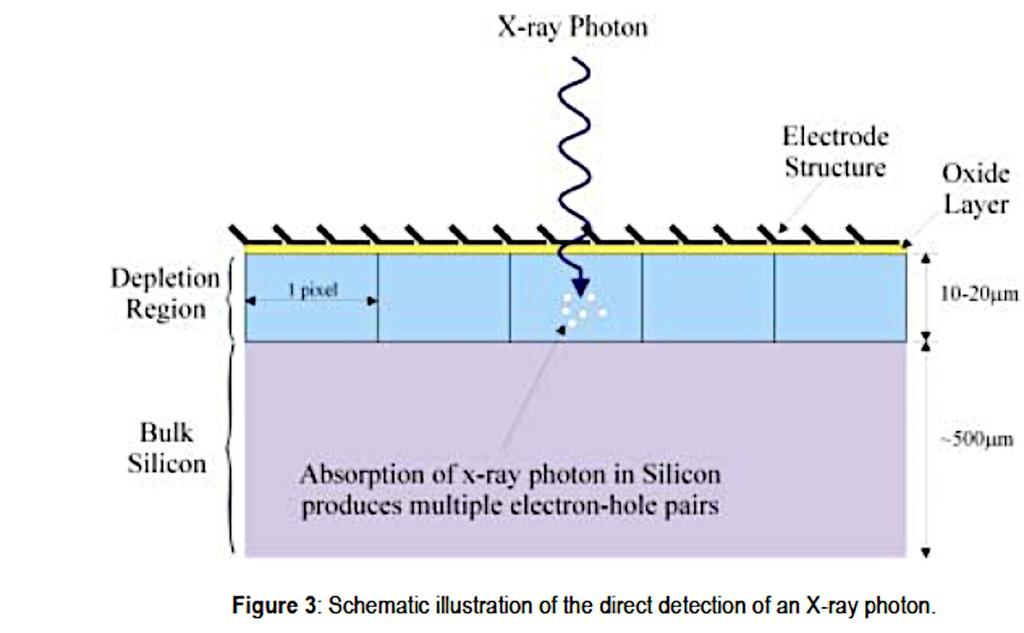 the CCD, the electrons and holes are separated by the internal electric field, with the holes rapidly undergoing