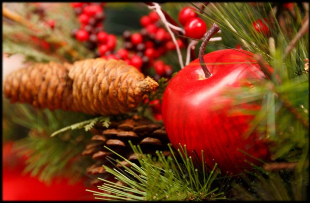 Holiday Brunch Sunday, December 17 th Seatings will be taken 11am - 2pm every half hour.