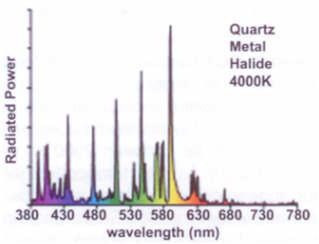 Spectral Distribution Spectral distribution charts the intensity of each wavelength relative to the highest intensity wavelength of the given light source.