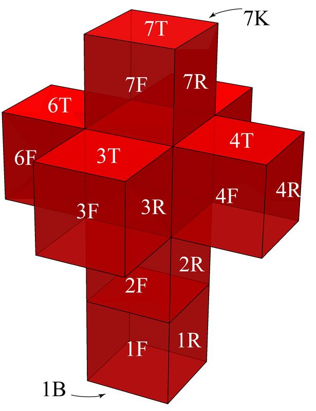 Figure 6: The Dali cross. Some face labels are shown. 2.4 Cross-strip Now we form a vertical strip of 2-cross units as shown in Figure 8.