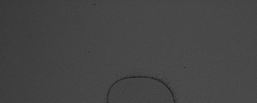 Figure 3-3: Optical image for single shot ablation crater made with f = 25 mm, E = 1 μj, with the glass sample beyond the focal plane of the lens.