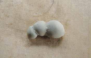 Step 3: Pinch off a still smaller piece of silver clay and form a third ball for the bee s head. Apply silver paste to the thorax where you want to position the head.