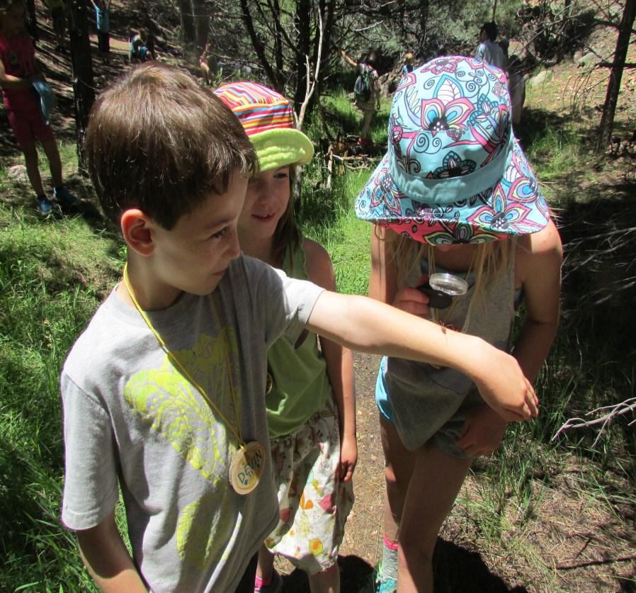 2018 Program Descriptions Chickadees Programs for ages 5 to 7 Animal Habitats - June 4th - 8th What do all animals need in order to survive and thrive in the wild?