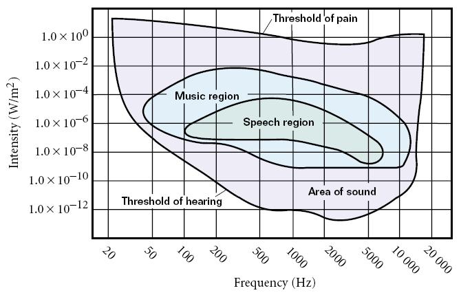 Section 2 Sound Intensity and Resonance Sound Intensity, continued Human hearing depends on both the frequency and the intensity of sound waves.