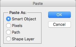 comfort level in both and convenience. If you choose to create the paths in Photoshop with the pen tool, simply select the completed path and copy it to the clipboard.