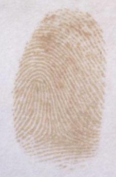 Example of Licensing Success Thermal Fingerprint Developer Centre for Forensic Science in the Faculty of Science, UTS set out to create new reagents that would produce coloured development of