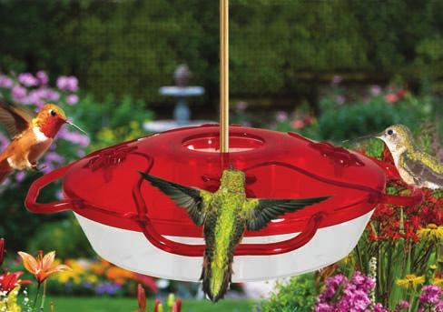 LITTLE FLYER 4 Model LF-4 Features: Built-in ant moat 4 flower ports with perches 4 Nectar Guard Tips Snap fit cover Hummer Port Brush Hang or Pole Mount Your new LF-4 hummingbird feeder was designed