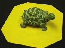 This turtle is approximately 6'x4'x3' which would require a large amount of resin to fill... approximately 40 ounces of resin.