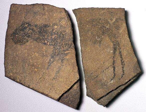 #1: APOLLO 11 STONES NAMIBIA. c. 25,500-25,300 BCE. CHARCOAL ON STONE.