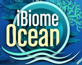 Introduction: ibiome Ocean ibiome Ocean is a game by Springbay Studio, well known for their award-winning game ibiome Wetland.