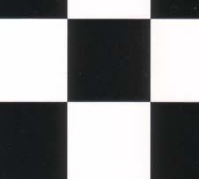 Tile Flooring WN7 Black & White