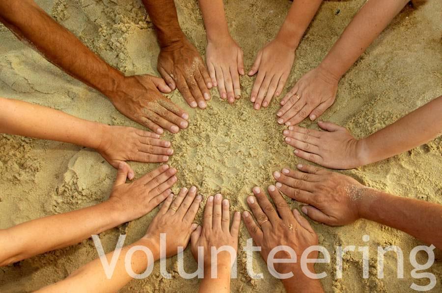 Volunteer/Community Service Include the name of the organization, dates, summary of volunteer