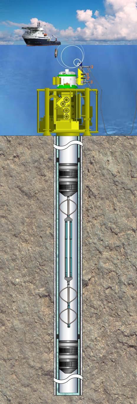 Suspended Subsea Well Monitoring Overview Suspended Well Monitoring including Verification of Primary & Secondary Well Barriers Knowing the status of the primary well barrier when returning to carry