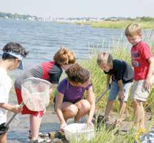 ) Grades Pre-K - 2 SEASONS HABITATS BIRDS INSECTS SNAKES TURTLES SALAMANDERS DINOSAURS SEA LIFE PLANTS & GARDENS ROCKS Discovery Walks One-hour guided nature walks include sensory activities and