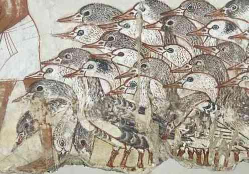 The tomb-chapel of Nebamun Share Tweet Email Geese (detail), from the Presentation of the Geese, Tomb chapel of Nebamun, c. 1350 B.C.E., paint on plaster, whole fragment: 71 x 115.