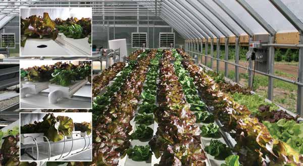 HydroCycle 4" Pro NFT Lettuce Systems 110830 Hydroponic Table Kit*
