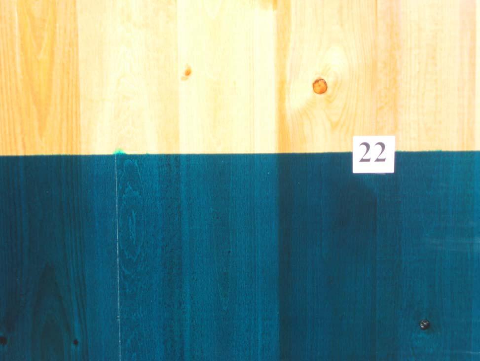Figure 2: Panel #22 Blue