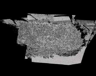 imaged. Using the last pulse mode of a laser scanner it is possible to penetrate for instance a forest.