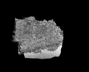 Multiple views and re-projection And see what is hidden behind the vegetation 3-D laser radar images from different viewing angles can be combined to give a