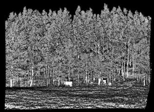 through several tens of meters into vegetation, and enable imaging of objects that are, e.g., behind a forest line [11].