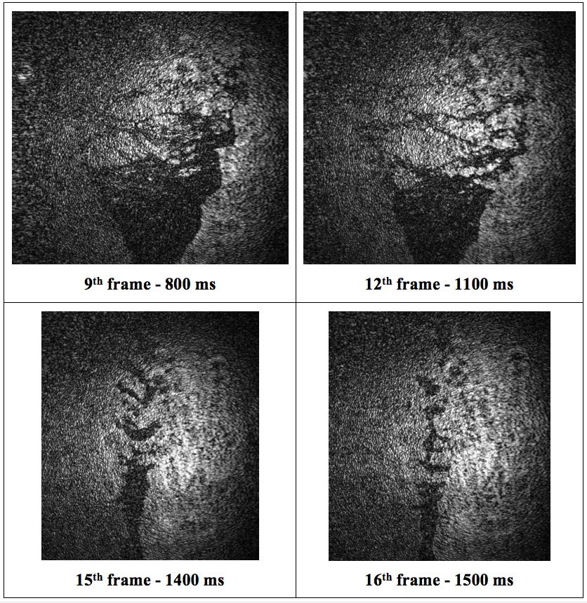 Figure 10 shows images from the Ford fuel injector operated at 100 PSI and immersed in a dense mist. The measured transmissivity of the whole target field is 1x10-3, which corresponds to almost OD 7.