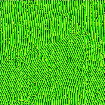 Fig. 56, Phase Image (88 µm, 360 pixels per side) Onion cell with nucleus The phase image has high frequency fringes, these can be reduced by multiplying the phase of each pixel