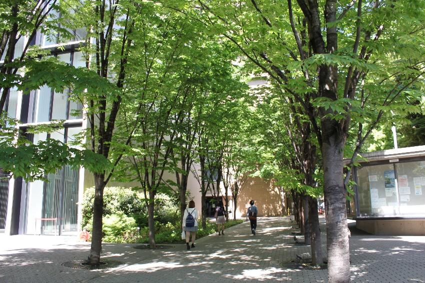 Faculty of Science and Engineering, Kasuga,