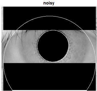 Figure 8 Noisy Image In order to avoid the noise in the image we have convolve the image data with Gaussian noise function.