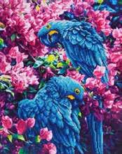 UOM: 1 062384118689 Blue Parrots