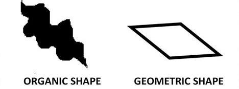 SHAPE 6th grade students should be able to identify Organic and Geometric Shapes ORGANIC SHAPE Students must be able to