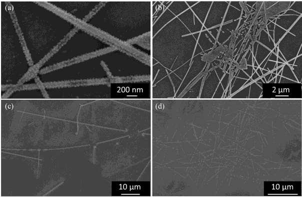 3.3.2 Failure mechanism characterization Typical SEM images of the electrodes after failure are shown in Figure 3.3. In contrast to the smooth nanowire sidewalls observed in the as-prepared films, nanoparticles were now present on the nanowire surfaces for the sample with a sheet resistance of 12 Ω/.