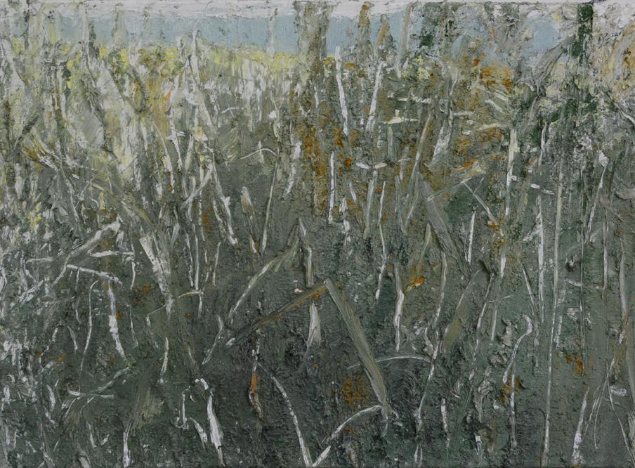Untitled Field, oil on
