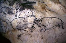 Images: Cave Paintings from Chauvet-Pont-d Arc Charcoal