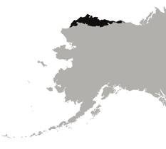 USE OF STATUS MONITORING PROGRAMS Figure 2. Density of ptarmigan recorded on aerial surveys of the North Slope of Alaska, 1992 2010. Figure 3.