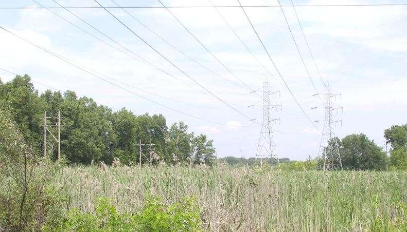 Table 6 - Measured electric and magnetic fields for the existing transmission lines along Troy Road in East Hanover Township at approximately 12:50 PM on August 8, 2014.