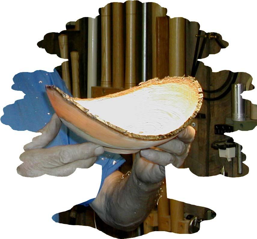 The bowl in this example was turned from green (wet) wood.