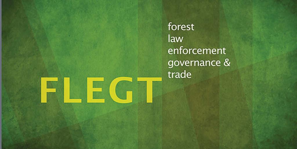 VẤN ĐỀ HÔM NAY CURRENT issues Tiến trình đàm phán FLEGT giữa Việt Nam và EU: Tìm điểm chung để ngành gỗ vươn xa Tiến trình đàm phán Hiệp định Đối tác tự nguyện (VPA) thuộc Chương trình Thực thi lâm