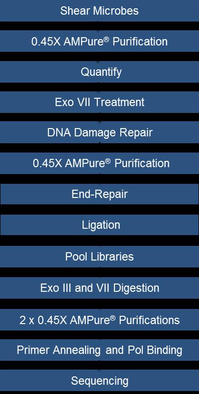 Workflow In this procedure, each sample is sheared, quantified and Exo VII treated before going through DNA Damage Repair and End-Repair.