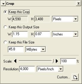 Crop The Crop palette is used to specify the dimensions and resolution at which the current crop will be scanned.