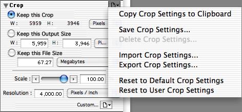 The Crop Settings Menu Clicking the triangle in the top right corner of the Crop palette displays the crop settings menu.