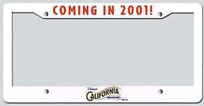 3. California Adventure CA-FR-01 Coming In 2001!